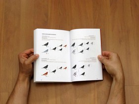 Livro Bengalim do Jap&atilde;o